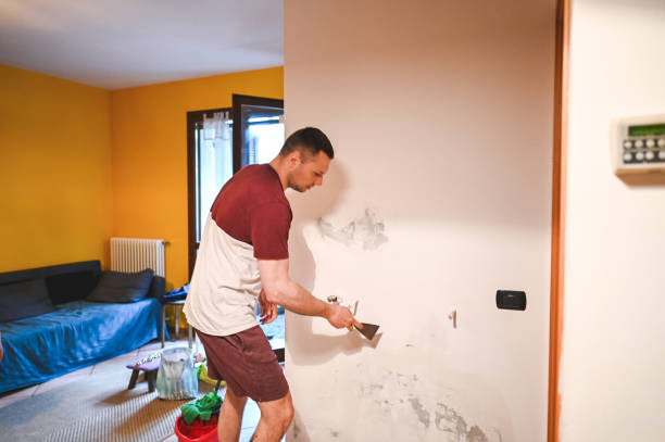 Certified Mold Removal in Essex Village, CT